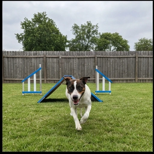 Herding instinct test
